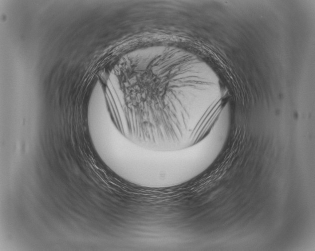 X0000085731492200704131606