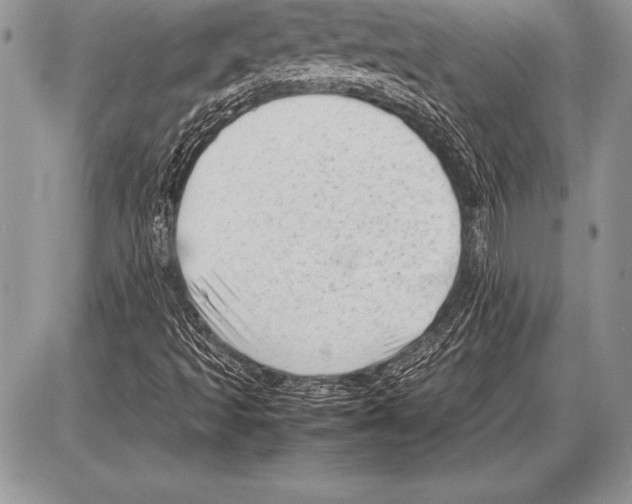 X0000085731493200704131606