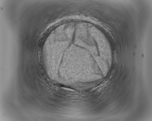 X0000085731494200704131606