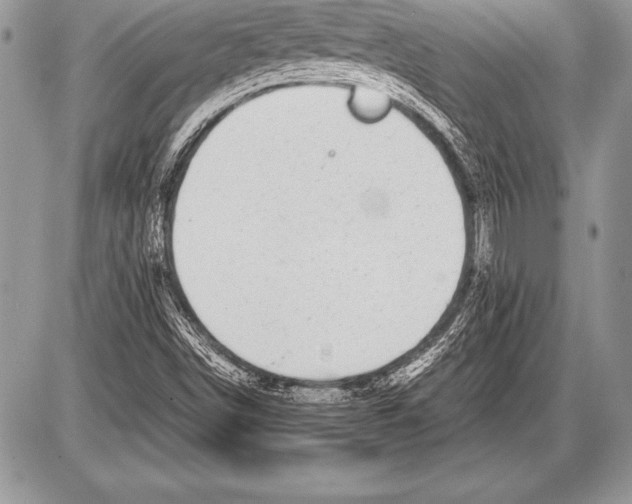 X0000085731498200704131606