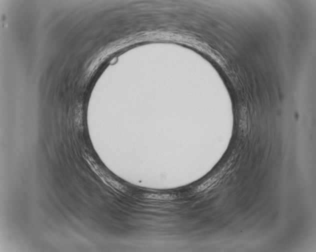 X0000085731499200704131606