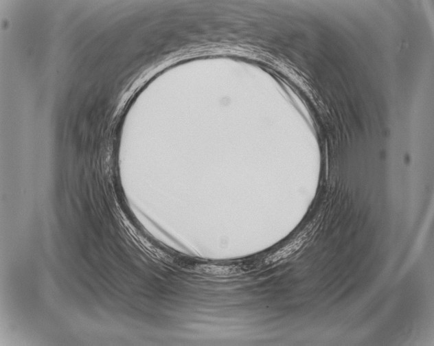 X0000085731500200704131606