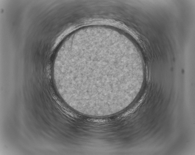 X0000085731501200704131606