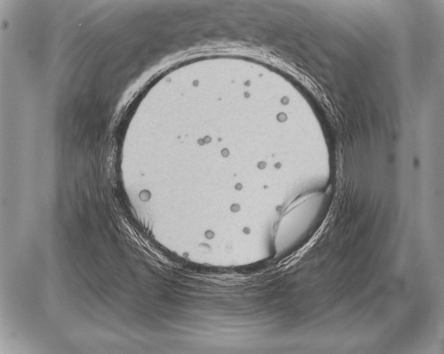 X0000085731502200704131606