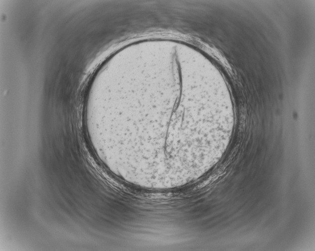 X0000085731504200704131606