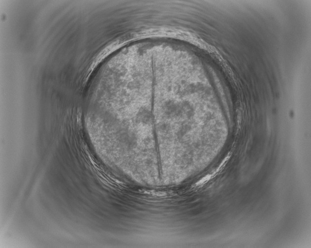 X0000085731505200704131606