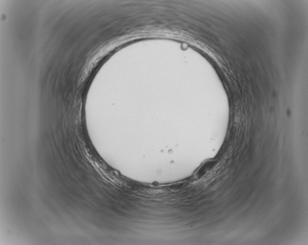 X0000085731507200704131606