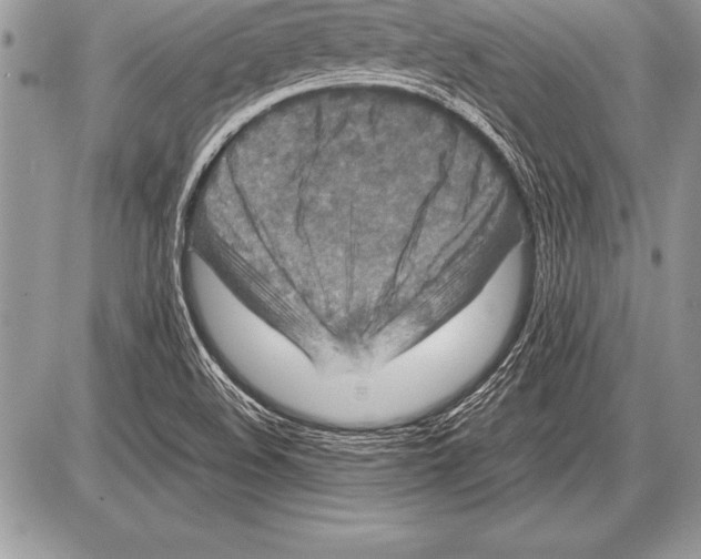 X0000085731508200704131606