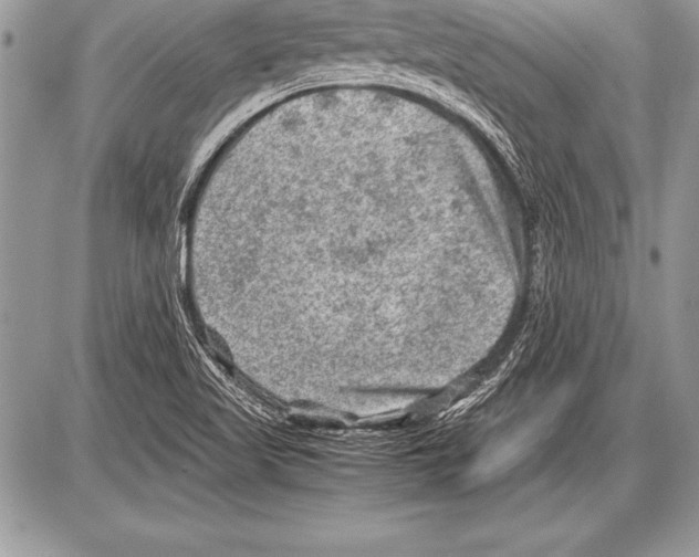 X0000085731509200704131606