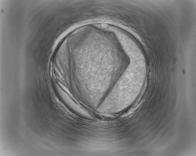 X0000085731510200704131606