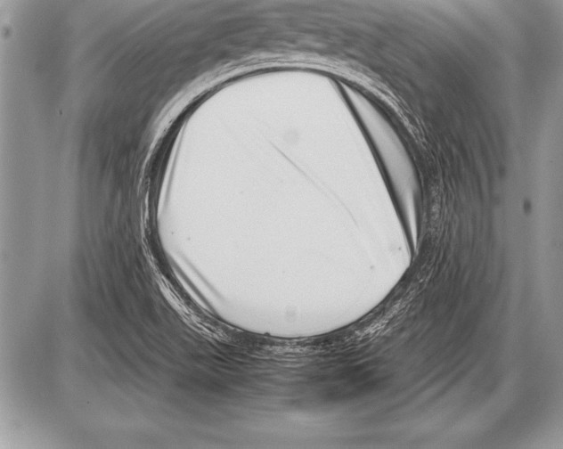 X0000085731511200704131606