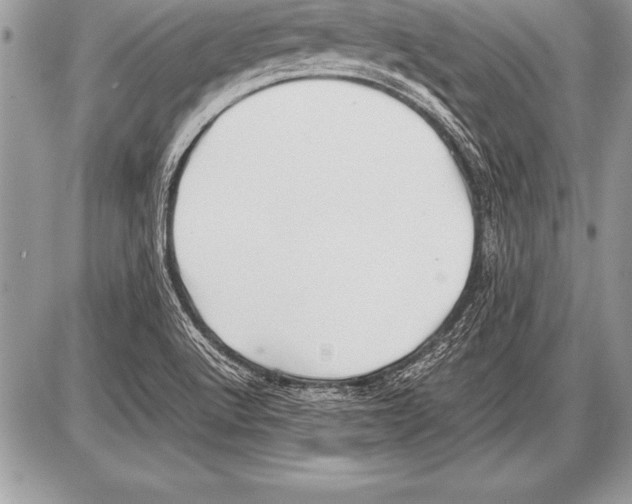 X0000085731512200704131606