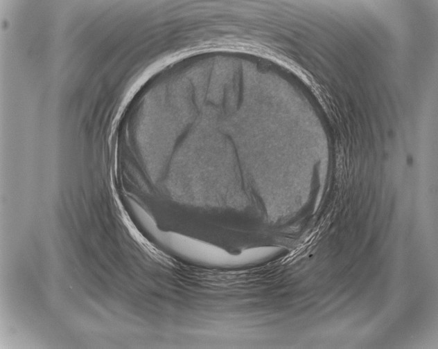 X0000085731515200704131606