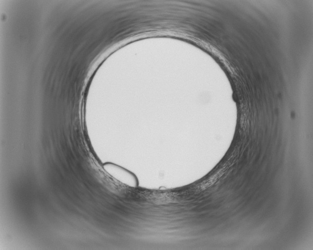 X0000085731516200704131606