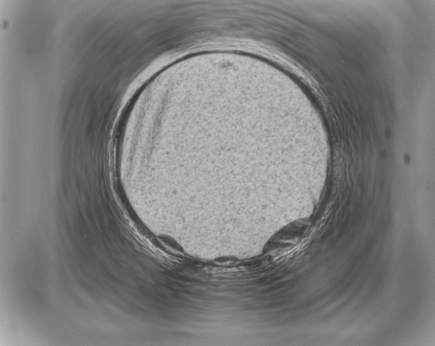 X0000085731517200704131606