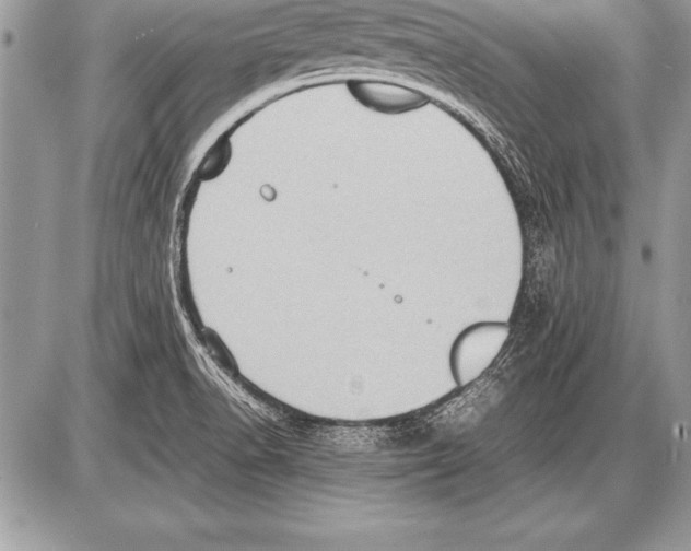 X0000085731518200704131606