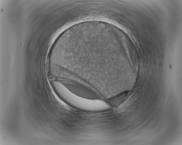 X0000085731519200704131606