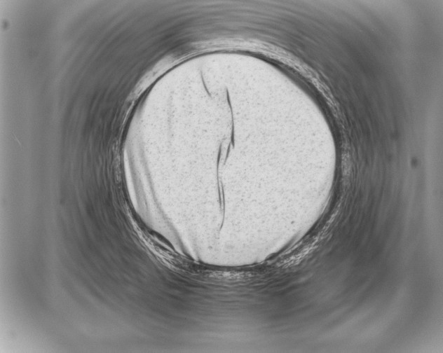 X0000085731521200704131606