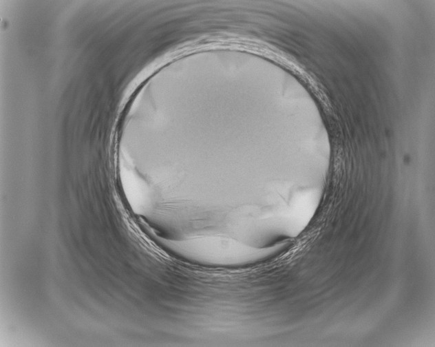 X0000085731522200704131606