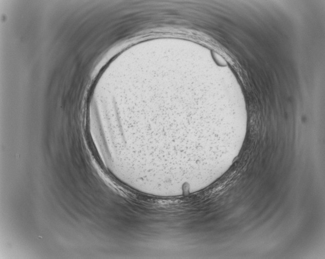 X0000085731523200704131606