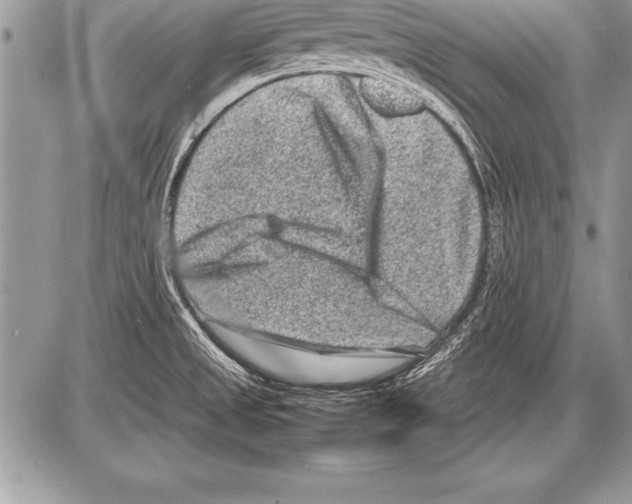 X0000085731525200704131606