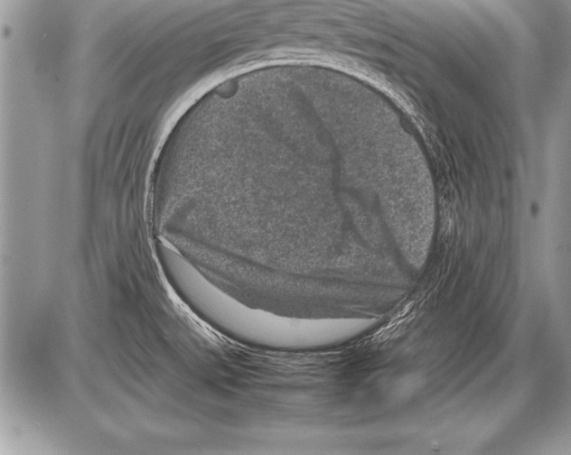 X0000085731527200704131606