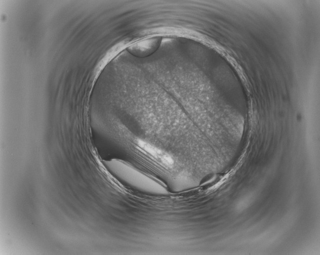 X0000085731529200704131606