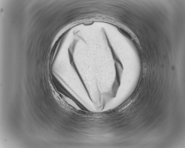 X0000085731530200704131606