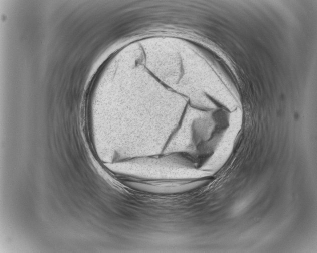 X0000085731531200704131606