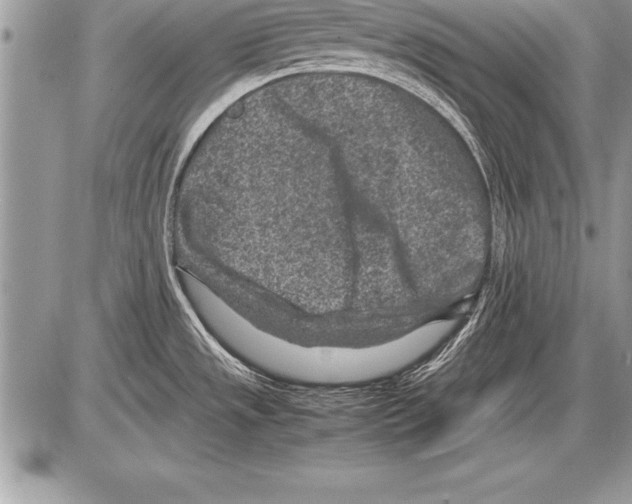 X0000085731533200704131606