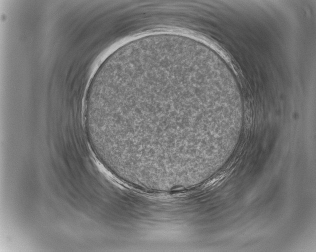 X0000085731535200704131606