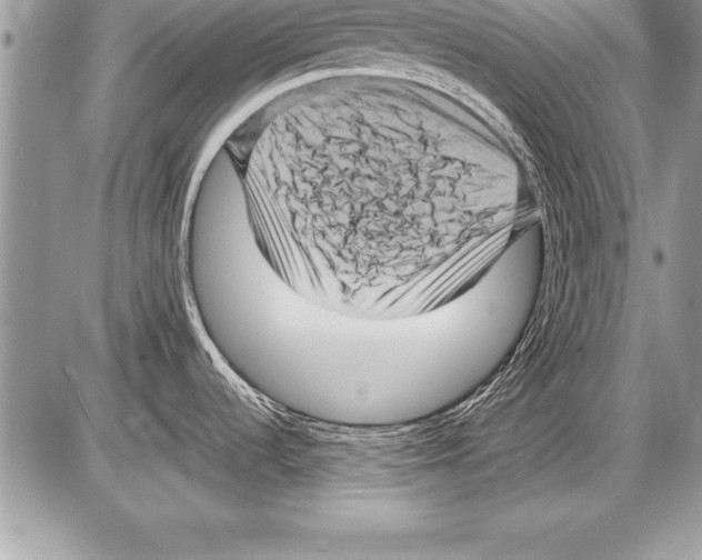 X0000085731536200704131606