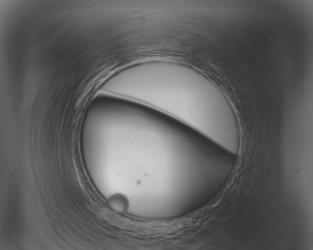 X0000085740001200703160915