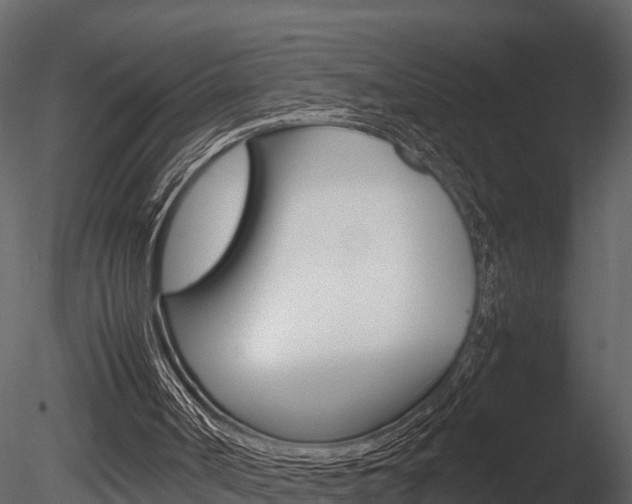 X0000085740002200703160915