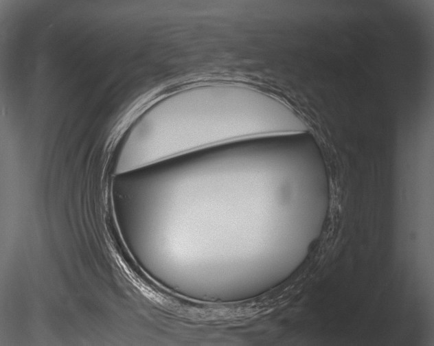 X0000085740005200703160915