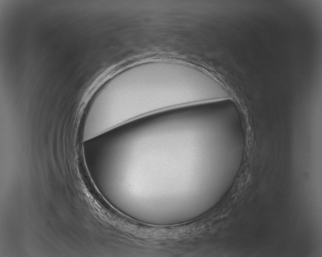 X0000085740007200703160915