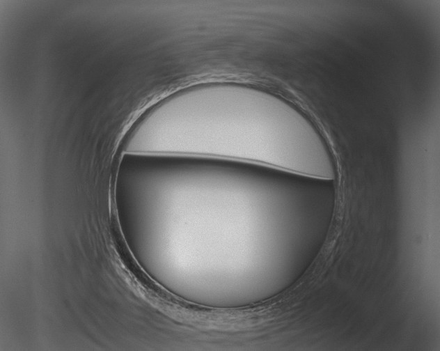 X0000085740011200703160915