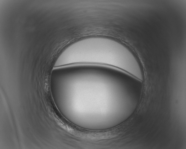 X0000085740017200703160915