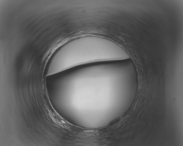 X0000085740050200703160914