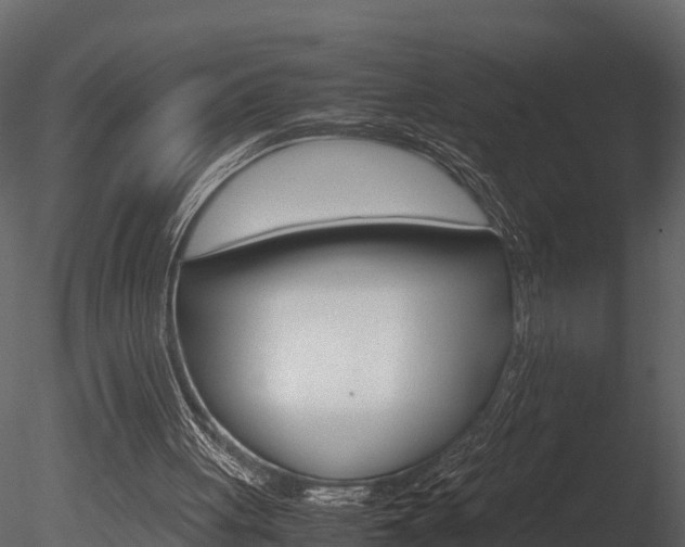 X0000085740051200703160914
