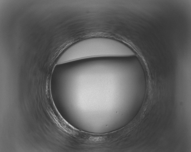 X0000085740057200703160914