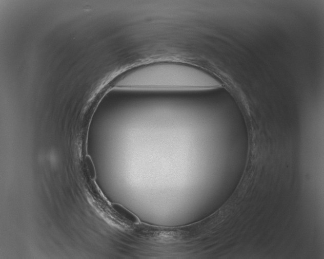 X0000085740060200703160914