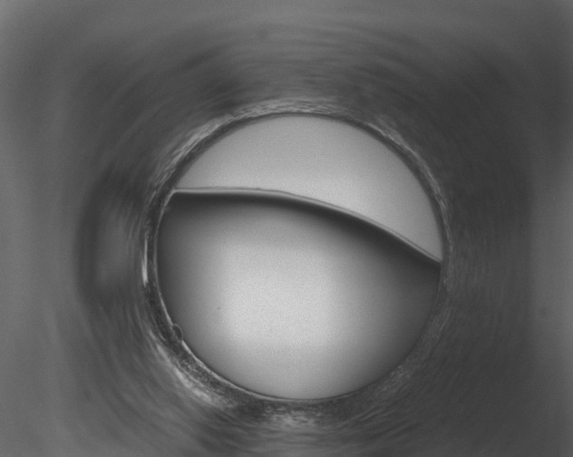 X0000085740062200703160914