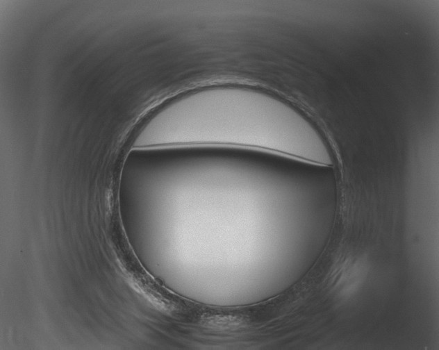X0000085740063200703160914