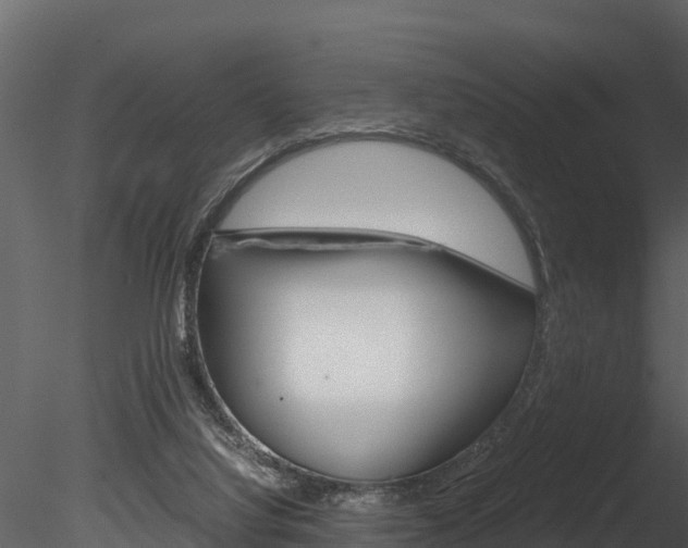 X0000085740068200703160914