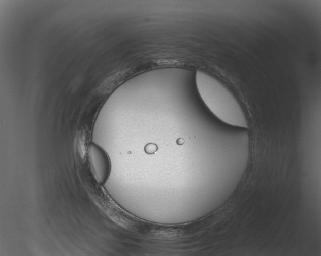 X0000085740069200703160914