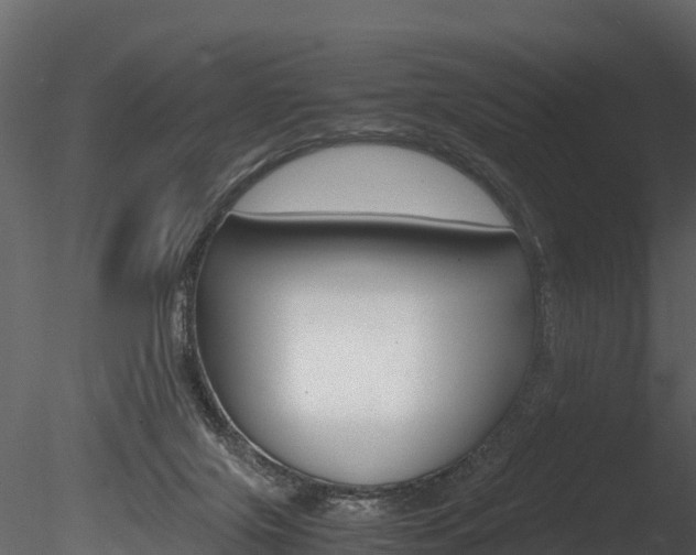 X0000085740071200703160914