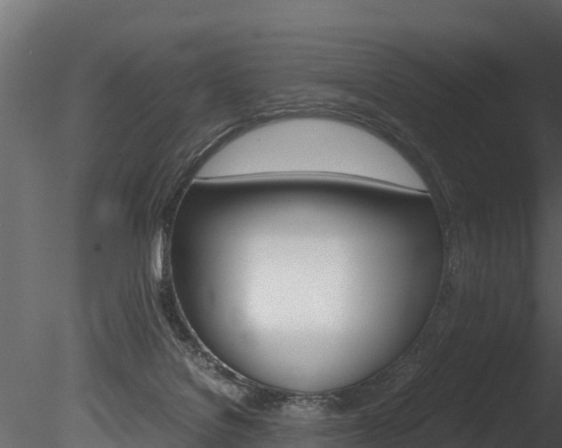 X0000085740076200703160914