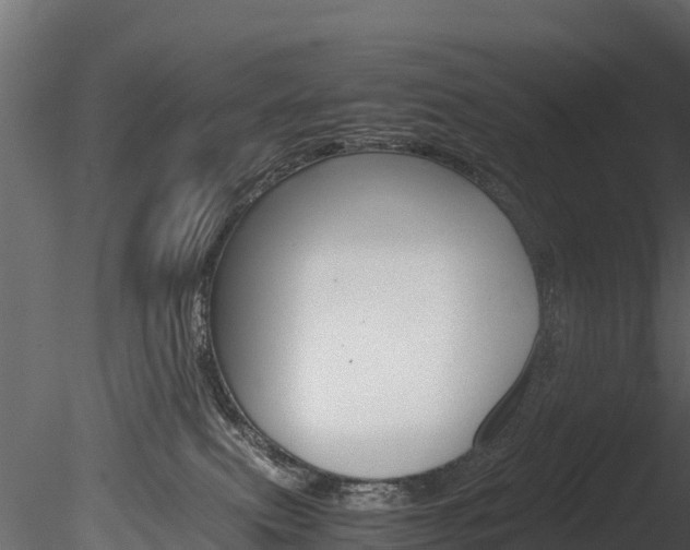 X0000085740087200703160914