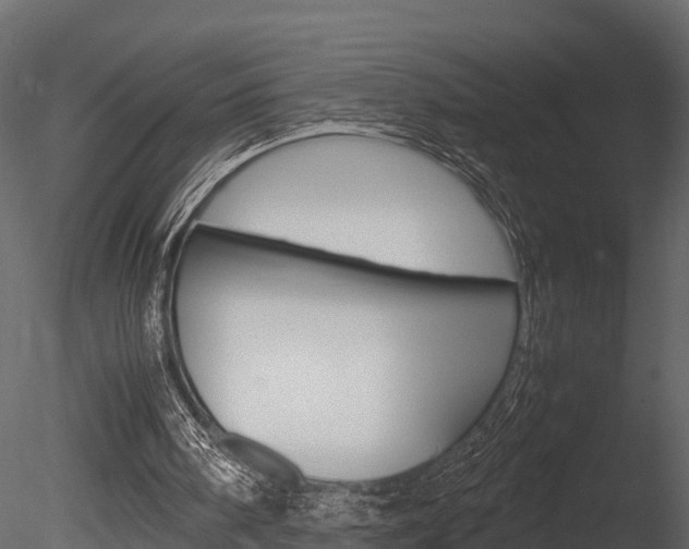 X0000085740098200703160914